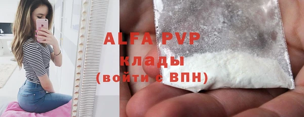 стафф Арсеньев