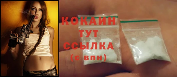 стафф Арсеньев