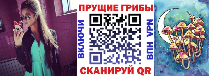 Псилоцибиновые грибы GOLDEN TEACHER  Купить закладки  Кизел 
